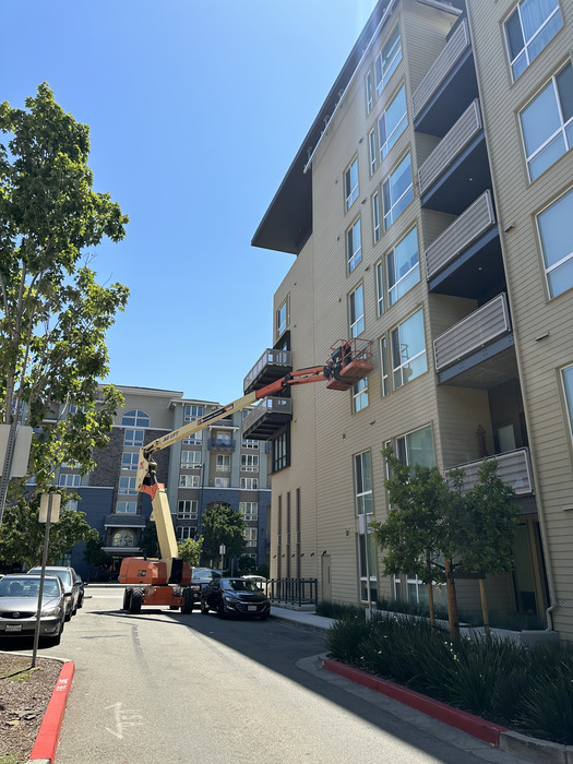 Project Image 19